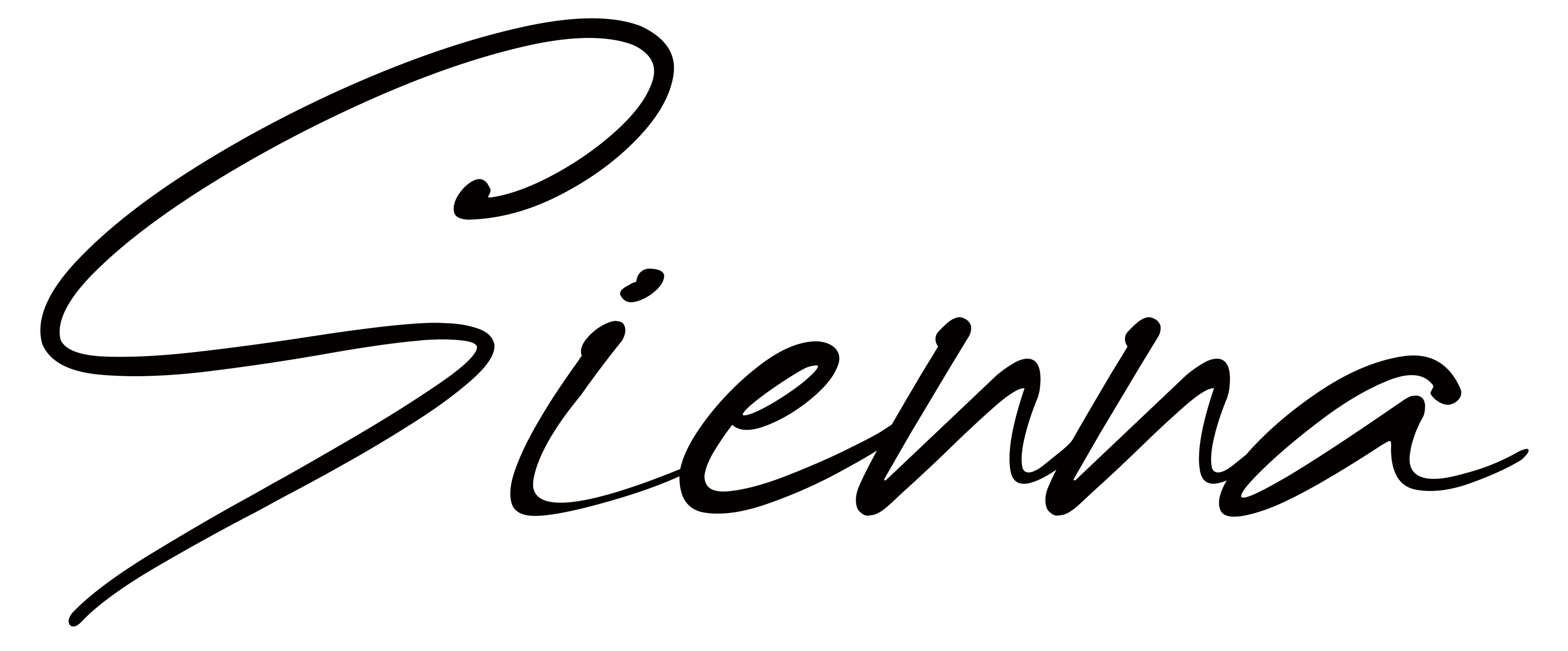 Sienna Leather haus